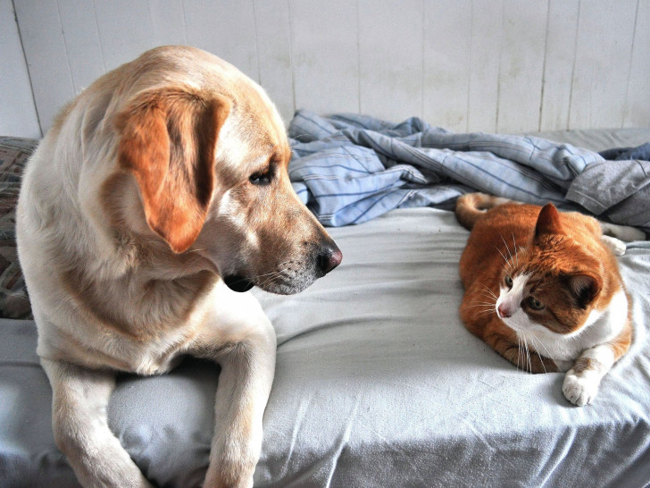 Premiere rencontre entre homme femme