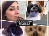 Aux petits soins des Animo's