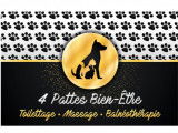 4 Pattes Bien-Être