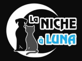 La Niche à Luna