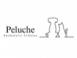 Peluche
