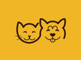 À 4 Pattes