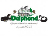Dalphond