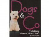 Dogs & Co