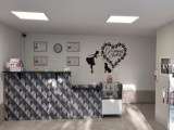 Art Du Poil