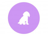 Happy Dog 23