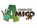 Amigo