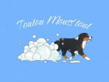 Toutou Mouss'tout