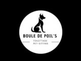 Boule de Poil's