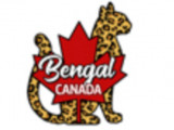 Bengal Canada