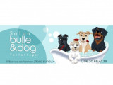 Bulle & Dog