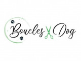 Boucles Dog