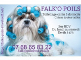 Falk'O Poils