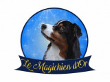Le Magichien d'Or