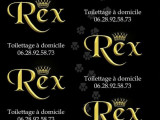 Rex Toilettage