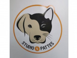 Studio 4 pattes