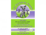 Les Toutous de Johanna