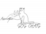 Sos Chats Thiers