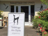 Toilettage des Oyats