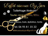 L'effet ciseaux by Jen
