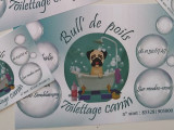 Bull'de poils