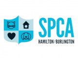 Hamilton/Burlington Society for the Prevention of Cruelty To Animals (HBSPCA)