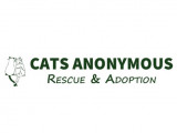 Cats Anonymous Rescue and Adoption
