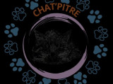 Chat'pitre