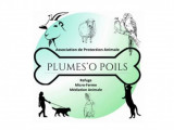 Plumes'o Poils