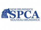 Société pour la prévention de la cruauté envers les animaux (SPCANB)