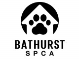 SPCA de Bathurst