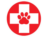 Ottawa Animal Emergency & Specialty Hospital