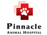 Pinnacle Animal Hospital (PAH)