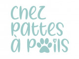 Chez pattes à poils
