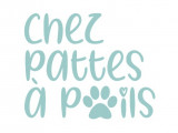 Chez pattes à poils