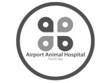 Airport Animal Hospital