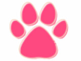 Ottawa Barrhaven Animal Hospital