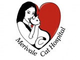 Merivale Cat Hospital