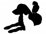 Kemptville Animal Hospital
