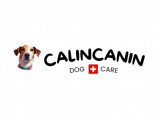Calin Canin