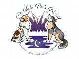 Tala Pet's World