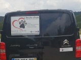 L'arche d'Izia