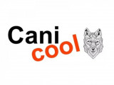 Cani Cool