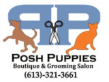 Posh Puppies