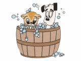 Klips Pet Grooming & Boutique