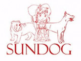 Sundog