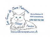 Les Coon de Zaza'Patounes
