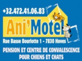 Ani'Motel