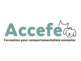 Accefe