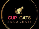Cup Cats
